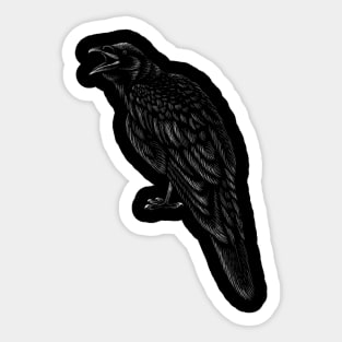 Eagle raven crow eagles US USA falcon magic t shirt t-shirt Sticker